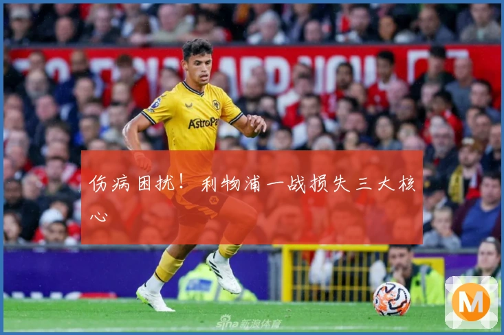 伤病困扰！利物浦一战损失三大核心